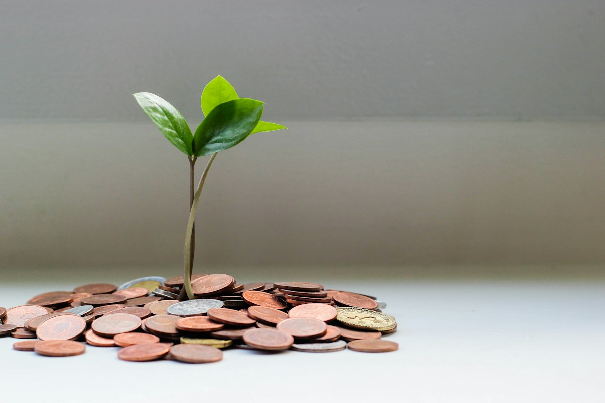 Coins stacked beside a plant, illustrating gradual savings growth